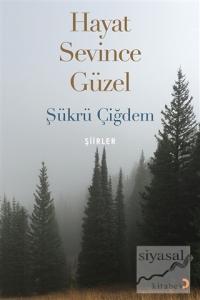 Hayat Sevince Güzel