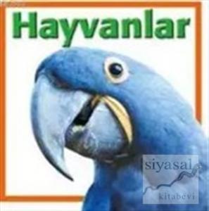 Hayvanlar (Ciltli)