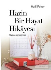 Hazin Bir Hayat Hikayesi