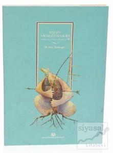 Herşey Yağmurla Başladı