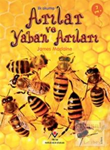 İlk Okuma - Arılar ve Yaban Arıları