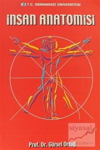 İnsan Anatomisi