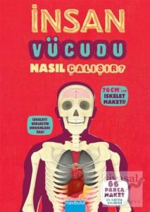 İnsan Vücudu Nasıl Çalışır? (Ciltli)