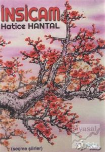 İnsicam