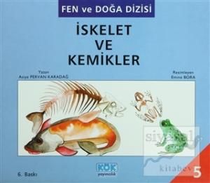 İskelet ve Kemikler