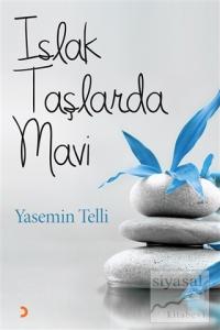 Islak Taşlarda Mavi