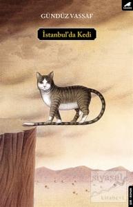 İstanbul'da Kedi