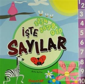 İşte Sayılar