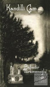 Kandilli Çam