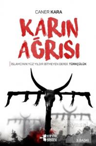 Karın Ağrısı