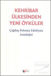 Kehribar Ülkesinden Yeni Öyküler (Ciltli)