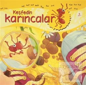 Keşfedin - Karıncalar