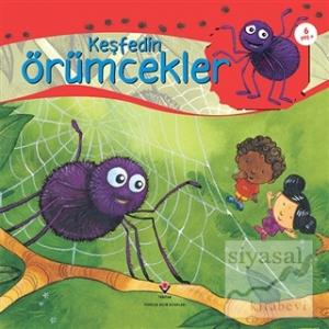 Keşfedin - Örümcekler