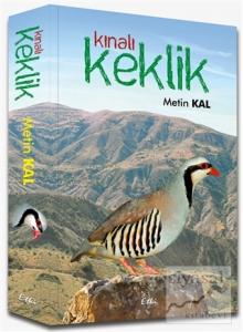 Kınalı Keklik