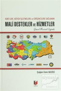 Kobi'lere, Büyük İşletmelere ve Girişimcilere Sağlanan Mali Destekler ve Hizmetler (Ciltli)