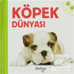 Köpek Dünyası