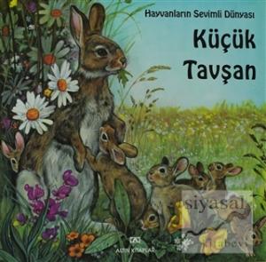 Küçük Tavşan