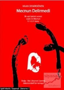 Mecnun Delirmedi