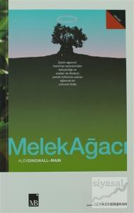 Melek Ağacı