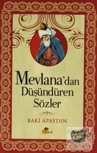 Mevlana'dan Düşündüren Sözler