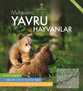 Muhteşem Yavru Hayvanlar