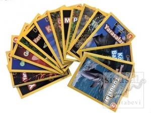 National Geographic Kids-Okuma Serisi Seviye 2 Seti-17 Kitap Takım