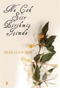 Ne Çok Şiir Birikmiş İçimde