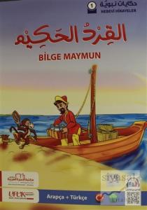 Nebevi Hikayeler Serisi (4 Kitap Takım)