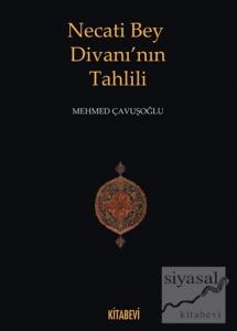 Necati Bey Divanı'nın Tahlili