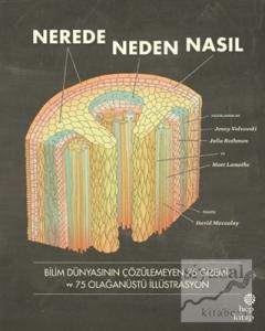Nerede, Neden, Nasıl