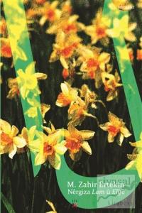 Nergiza Lam ü Elife