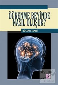 Öğrenme Beyinde Nasıl Oluşur?
