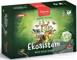 Orman Kaşifleri Ekosistem Besin Zinciri Oyunu (5+ Yaş)