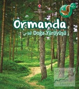 Ormanda Bir Doğa Yürüyüşü