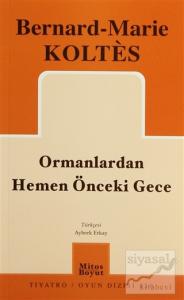 Ormanlardan Hemen Önceki Gece