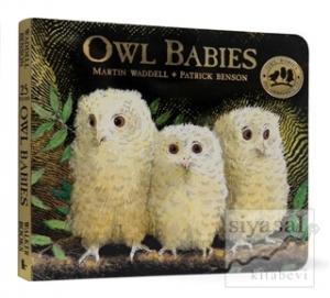 Owl Babies