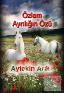 Özlem Ayrılığın Özü