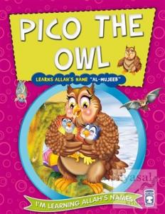 Pico the Owl Learns Allah's Name Al Mujeeb