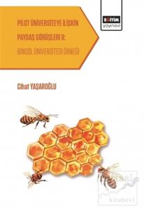 Pilot Üniversiteye İlişkin Paydaş Görüşleri 2: Bingöl Üniversitesi Örneği