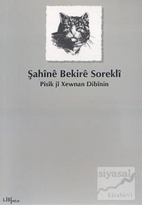 Pisik ji Xewnan Dibinin