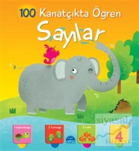 Sayılar - 100 Kanatçıkta Öğren Serisi