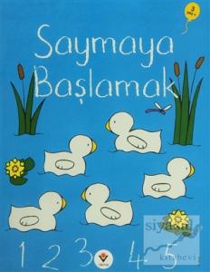 Saymaya Başlamak