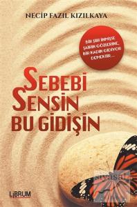 Sebebi Sensin Bu Gidişin