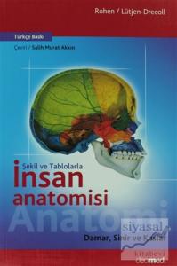 Şekil ve Tablolarla İnsan Anatomisi: Damar, Sinir ve Kaslar