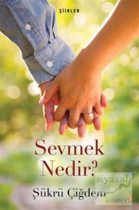 Sevmek Nedir?