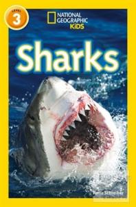 Sharks (Readers 3)