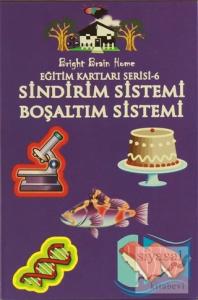 Sindirim Sistemi, Boşaltım Sistemi - Eğitim Kartları Serisi 6