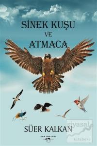 Sinek Kuşu ve Atmaca