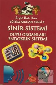 Sinir Sistemi, Duyu Organları, Endokrin Sistemi - Eğitim Kartları Serisi 4