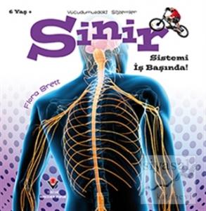 Sinir Sistemi İş Başında! - Vücudumuzdaki Sistemler